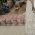 13. kép